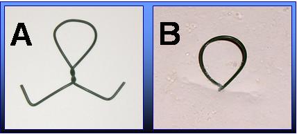 How to put a hook into the back of your plaster casts