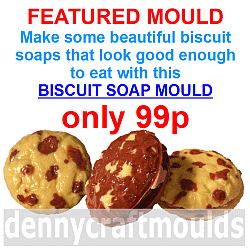 MAKE SINGLE OR DOUBLE FILLED SOAP BISCUITS WITH THIS MOLD